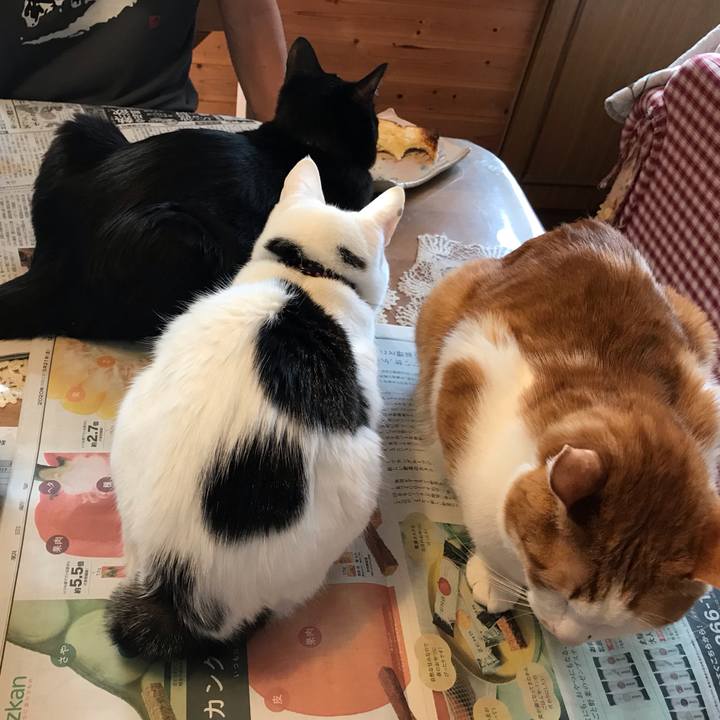 28ddd616 1279 4582 b578 c52fcdc9a9b1 1584741997388