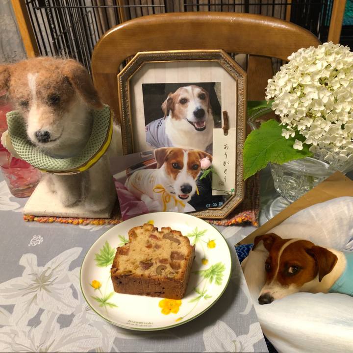 28ddec9c a94b 4ed6 bded b54fe81355ee 1531217434985