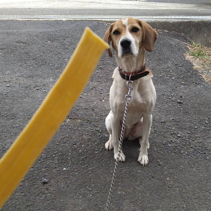 28de36b9 ae58 4640 a6d6 98015a1c266d 1636348391367