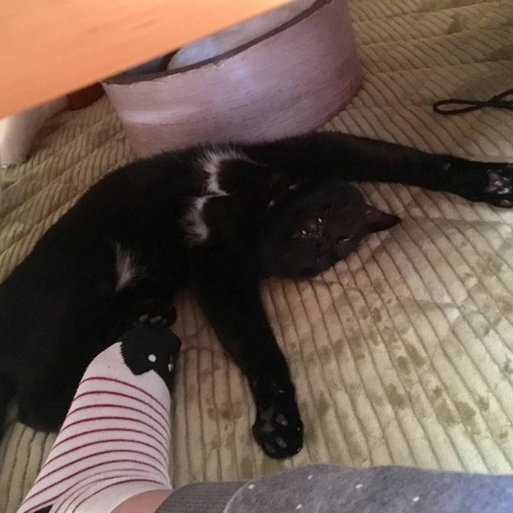 28de3fb8 b59d 43c2 a3fe 3e2742149ce8 1543109400425