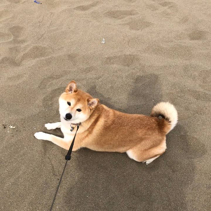 28de732e 8fa1 4de9 aaa5 a6f7e43ba859 1552999127864