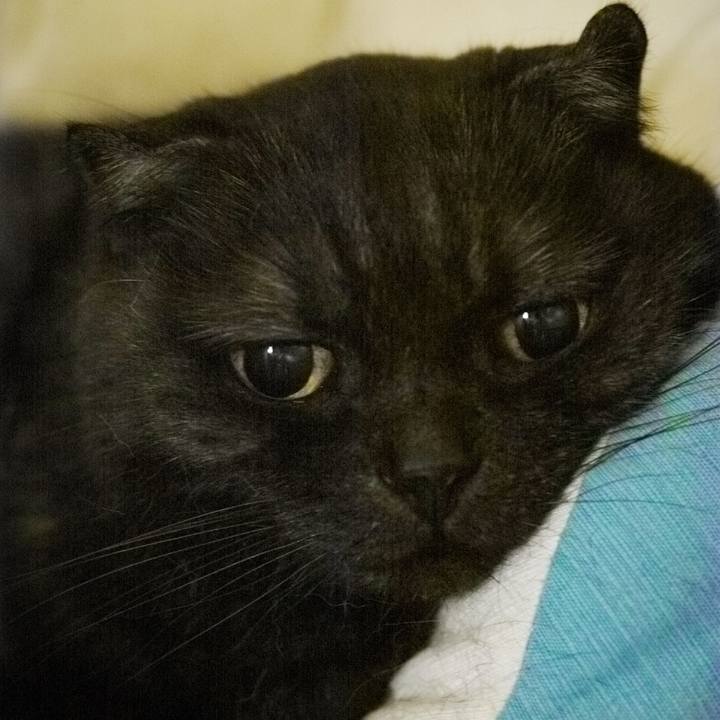 28deb80a 4e55 4456 b25c e81af22be50a 1625407460670