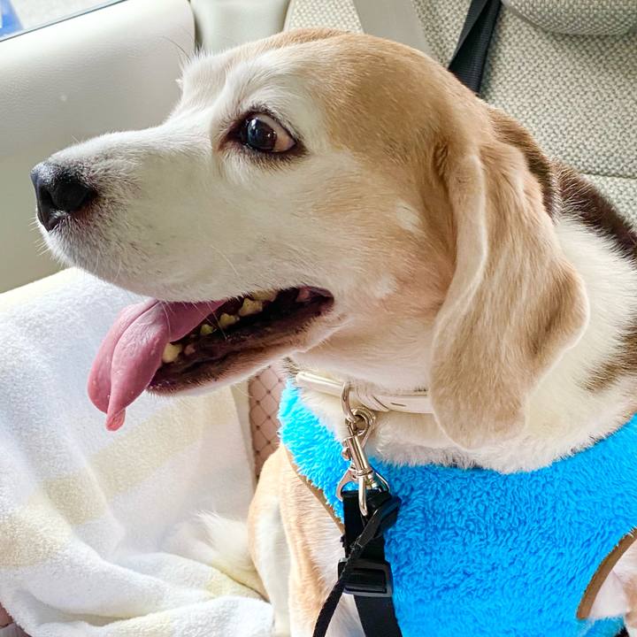 28dee7b0 be87 42a8 9db7 c9f7031d4d73 1606193204799