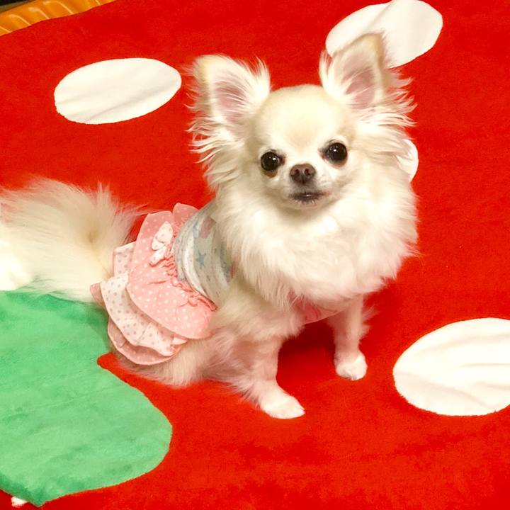 28df25bf 7d64 4d71 b4d3 520be13d580c 1533692177108