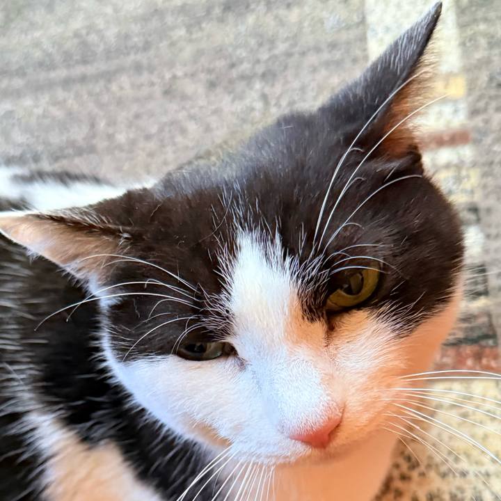 28df2f3e ec5f 409c 94ac ee1b44e1ffa2 1737164008767