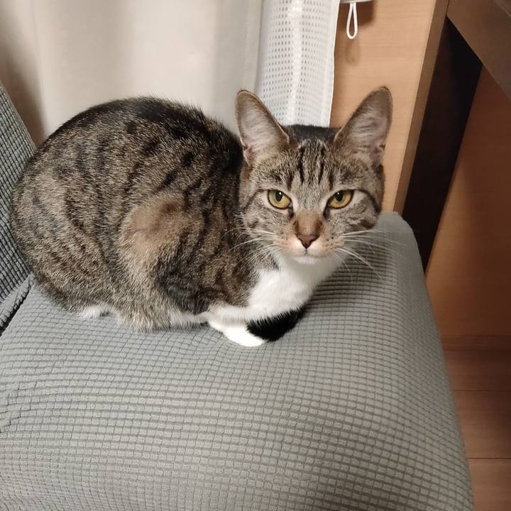 28df3add 85de 42de 9e8f d972c09943b0 1670335700900