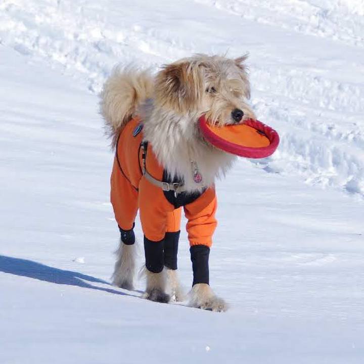 28df47a3 b76b 4309 9d09 c29df821dd08 1547858492534