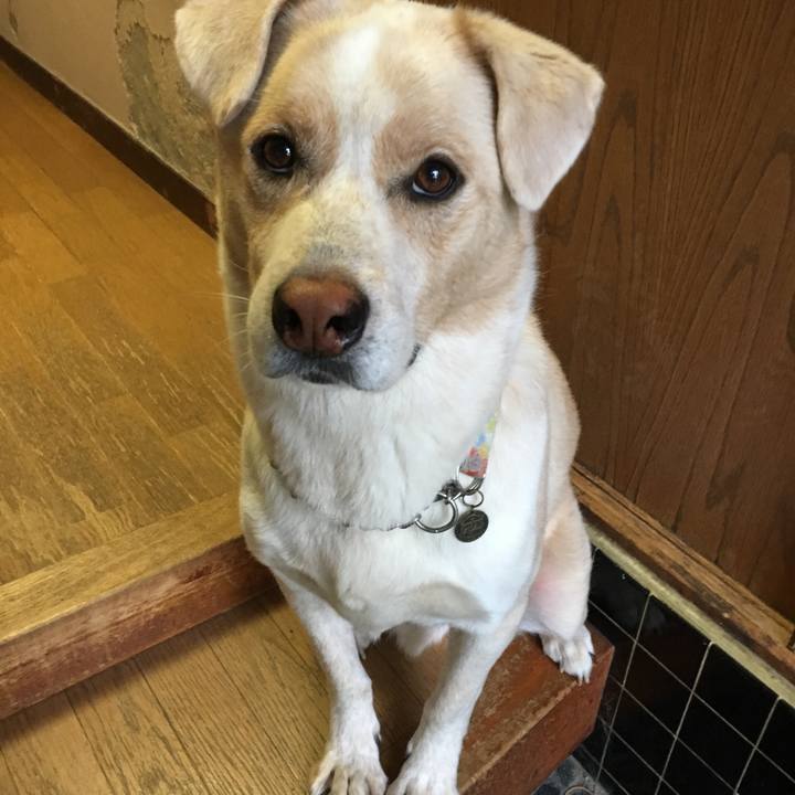 28df4bb9 c844 40e3 80ea 717fb4837abb 1538610849124