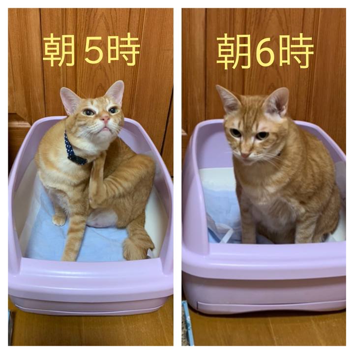 28df74bc 8409 46f8 9cf9 24b751e2552c 1583961972484