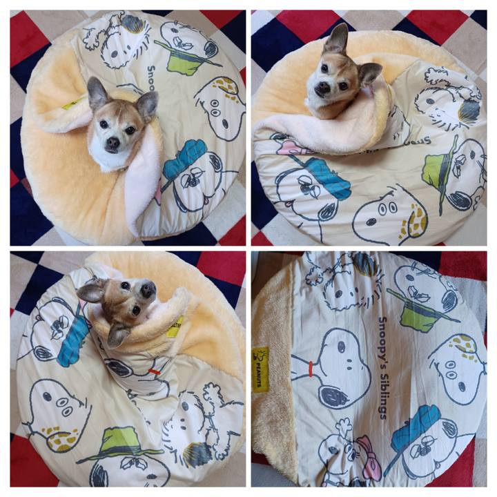 28dfaa05 61d3 4e15 8de8 6c94798dda52 1765926606627