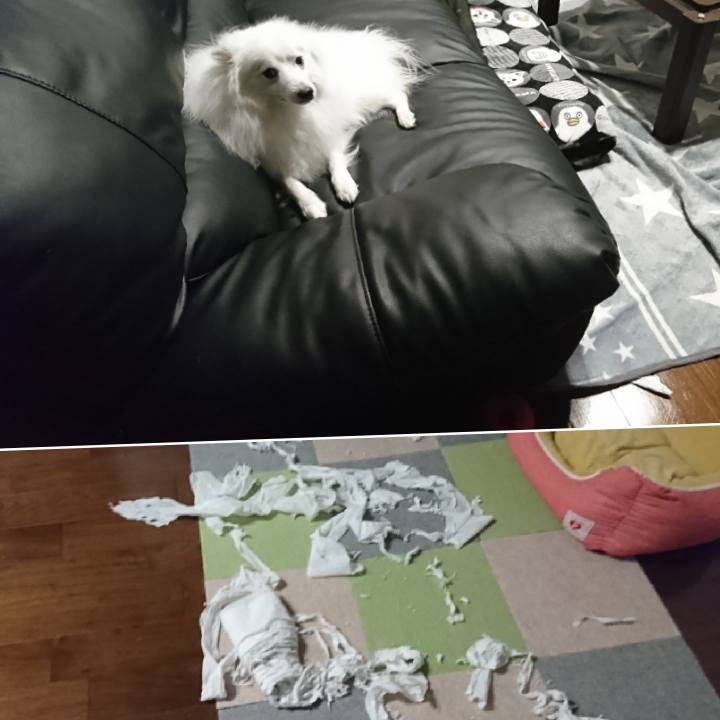 28dfc4cd 44e5 45af 8c4a f24a92ccf651 1582546612635