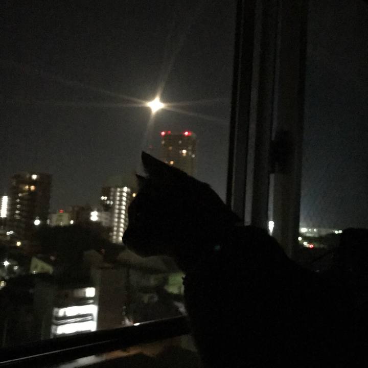 28dfcdae c90f 452a 940b 4651748d92bb 1570638252587