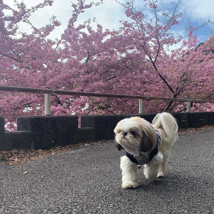 28dfce07 3aaa 4071 b02e c019b0ec9b93 1708250336313