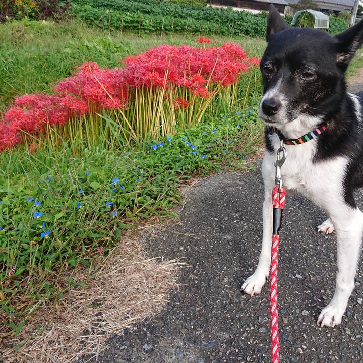 28dfd2c2 83ef 4ff4 a32c 849667469344 1632145214126