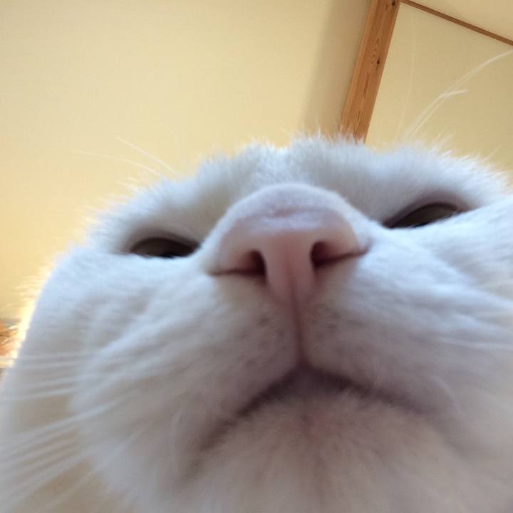 28dffef2 0c8c 49da 8fe3 2d3cbdc8f53e 1593096879350