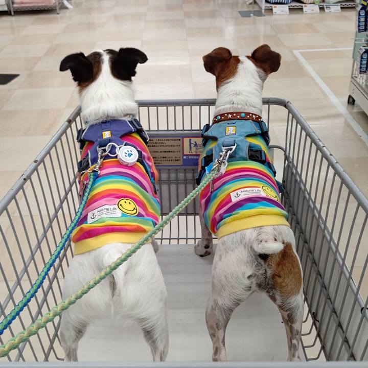 28e0077e cfc5 4b76 980d b65977b04dd2 1628417817426