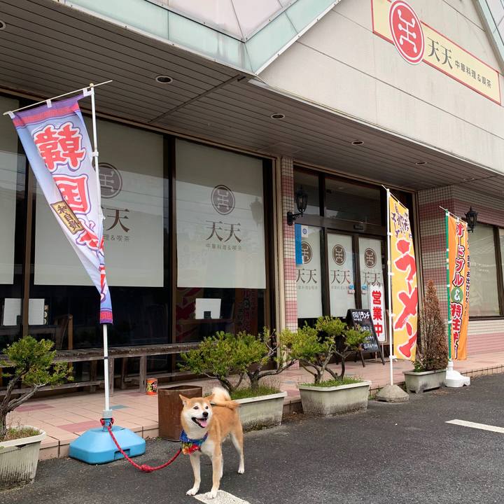 28e0163f 2f28 434d a990 8b9862130e9b 1571394447913