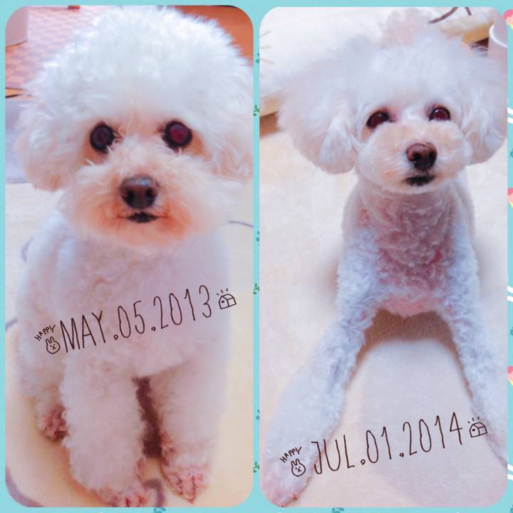 28e01d76 b676 4c1f 8bdc 70590dffb0f0 1513296868071