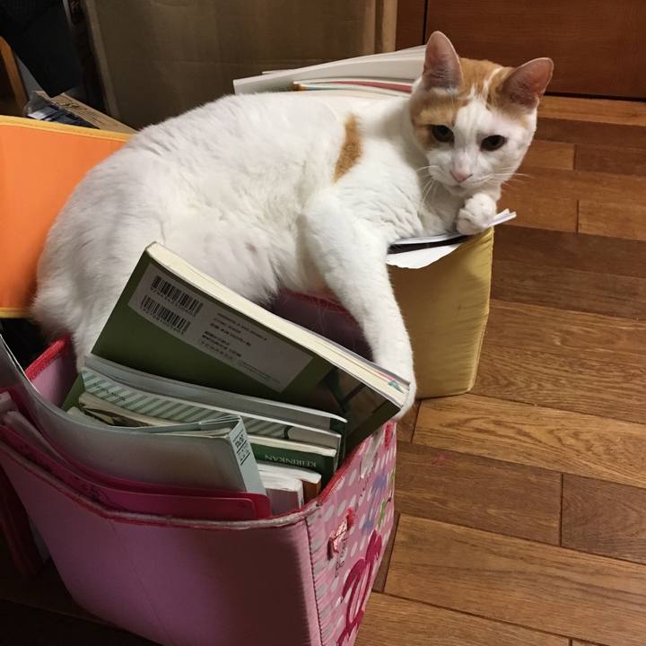 28e03615 bc93 4a9f 8f0d 5442f76a92d8 1530096769712