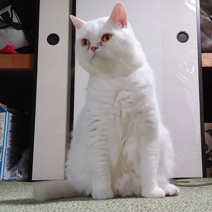 28e062f1 08d7 4e31 9bcf 3df61256414f 1629207902376