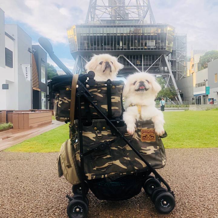 28e08c73 22a1 47f2 9af6 15292006c456 1600471543010