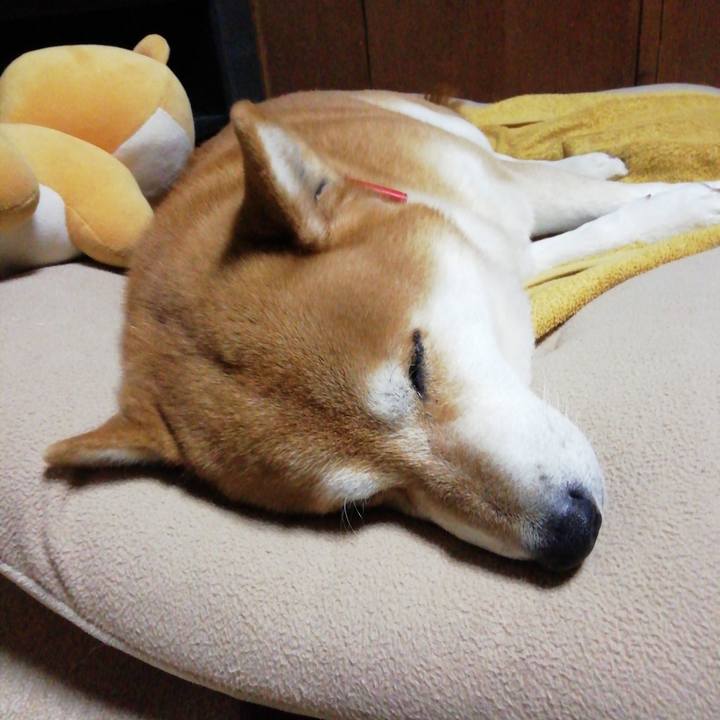 28e09edf 9edb 44ec a61c d765d342ef0f 1642602481488