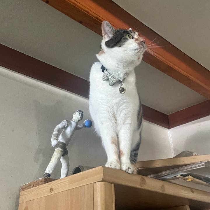 28e0a8d8 1090 4c0f a9fd 7cc3ae8c3844 1772933366177