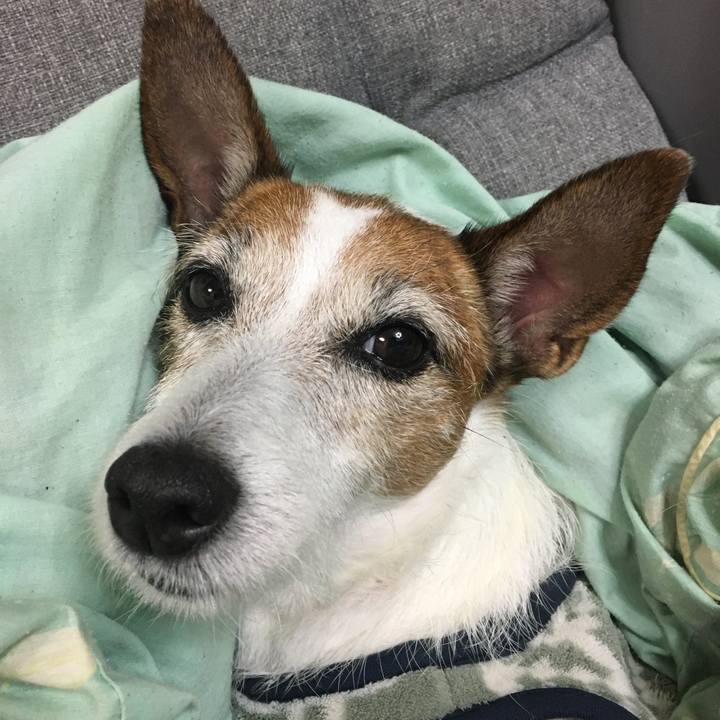 28e0bab3 bb55 4f33 9b22 37fc73e5fcf1 1635463519356