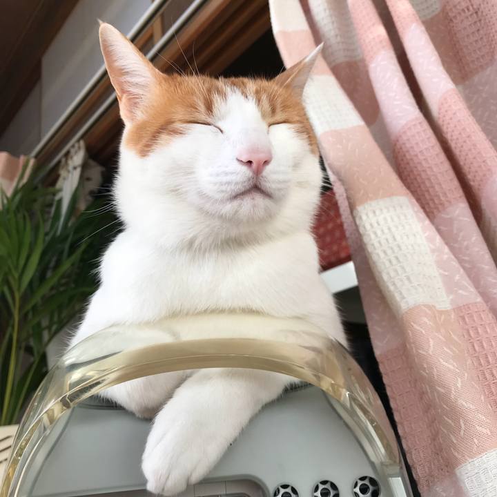 28e0bb61 0592 415f a98d 3123aae5f127 1520674824799