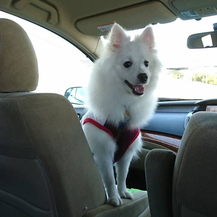 28e0d69e fd3a 46e3 8e26 33a3baded1e3 1556329588820