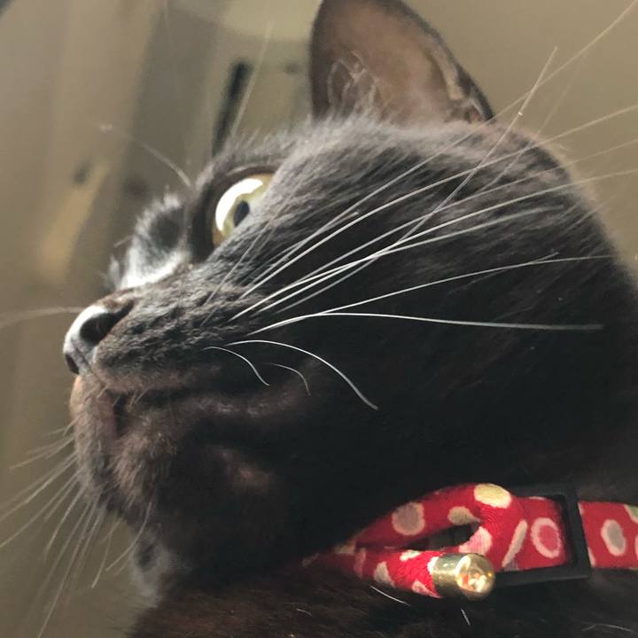 28e0f42b 184c 4599 8769 9ce8d33e14d0 1605876393618