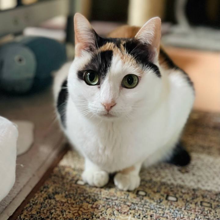 28e0f7de a84a 4143 b389 16046123afbc 1646964152652