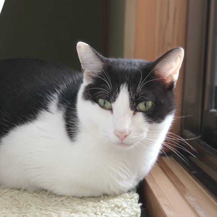 28e0fb85 2730 426c abd3 0aaf95b9a570 1543281651404