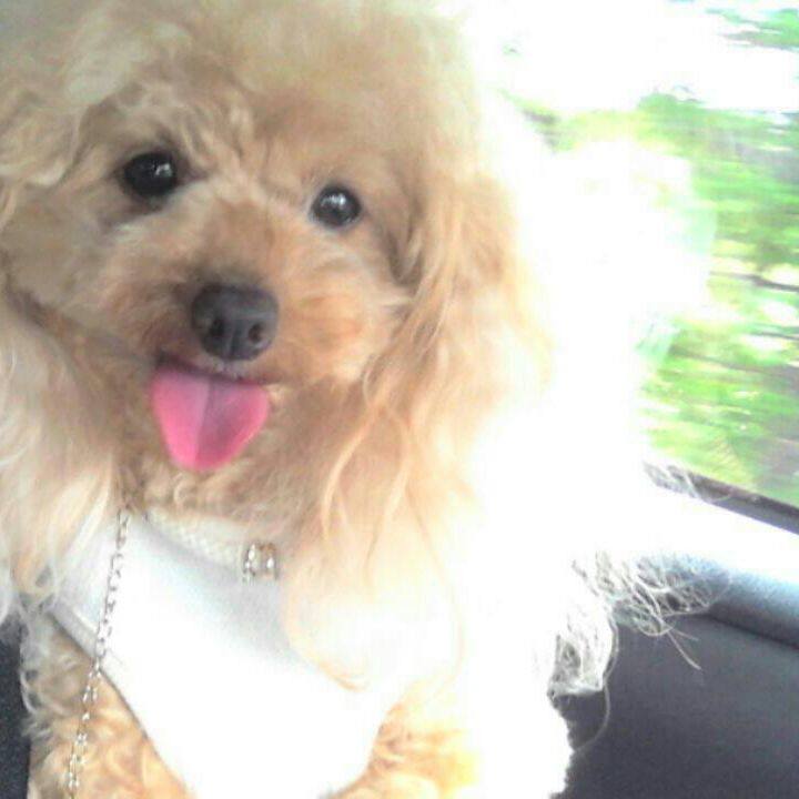 28e104d3 a411 42b5 9e5e aea59ac6c1c7 1537786472705