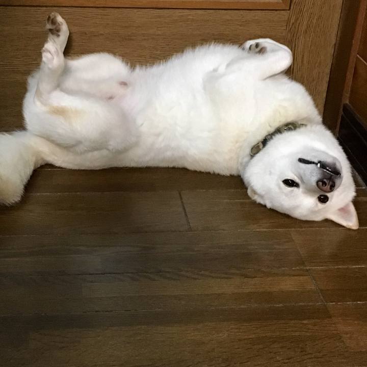 28e1088f 6eea 411a 86ad 40164b75d0ea 1532642525484