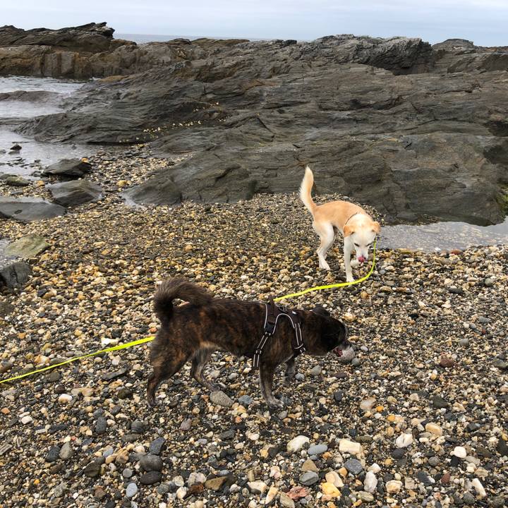 28e1420e 1c53 4175 b5a0 772ce2c9137d 1627473448761