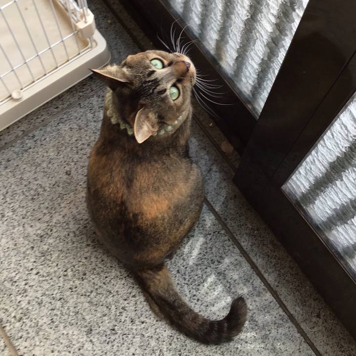 28e15648 f22f 4a78 9b66 ad745fbdcaa5 1644645934343