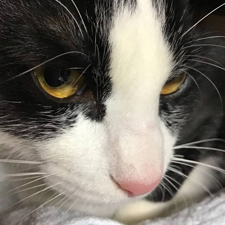 28e18fe3 7824 4a27 b067 5a0f6e53be4d 1644054017260