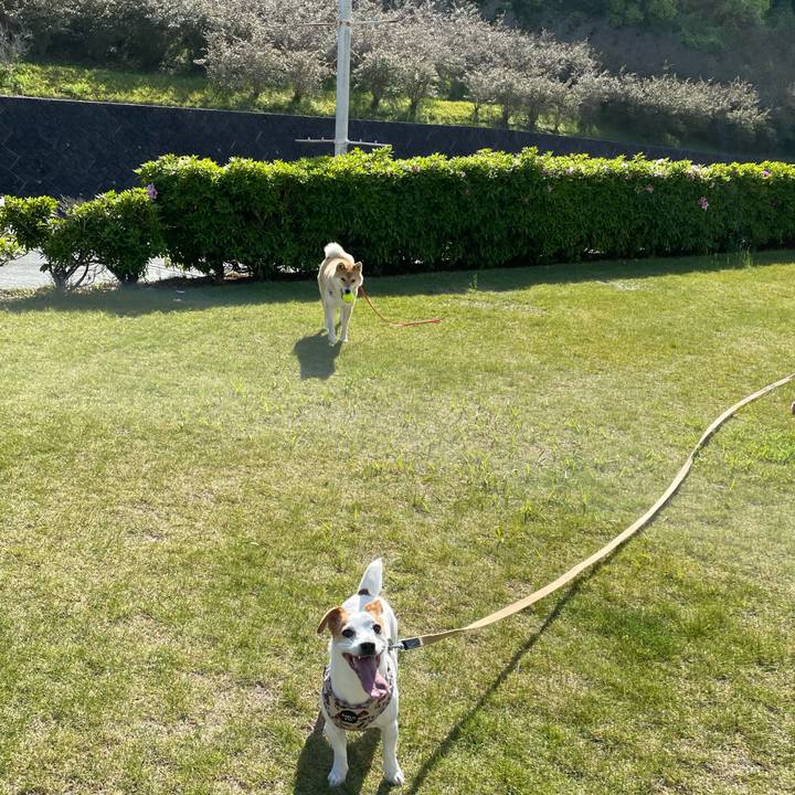 28e19a14 af18 4e5d a0d2 231a81b4dbe7 1618827043331