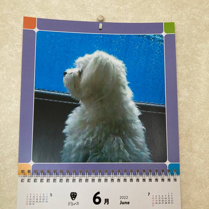 28e1d906 e7b1 48b0 ac37 b0785810e1c3 1654034874522