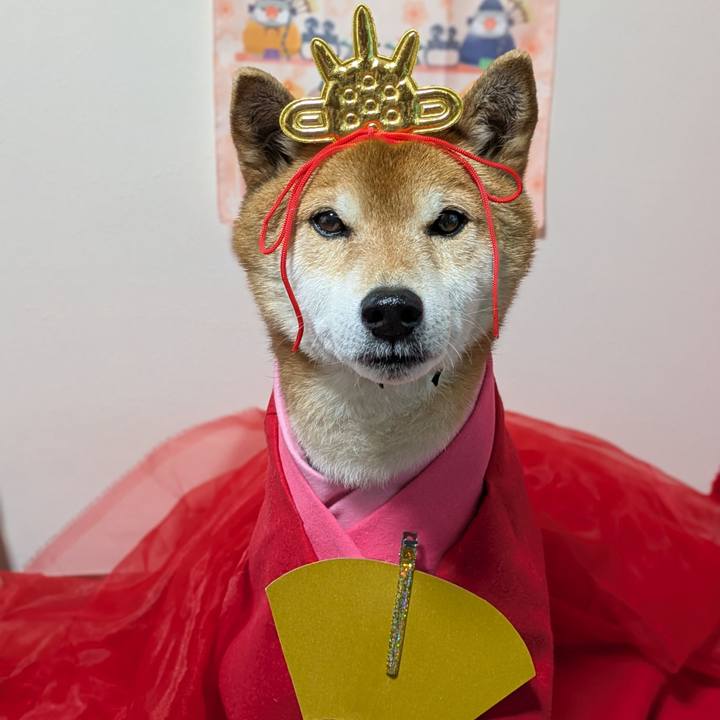 28e20708 612d 4b8a 8826 6d3ef5d89dcb 1740988949417