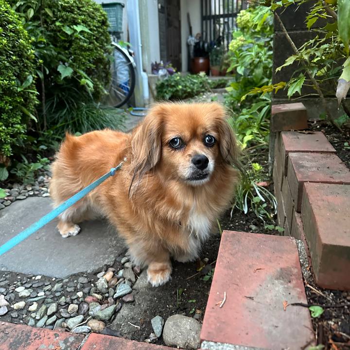 28e227d4 92fa 4645 ac59 fb7e97efd80c 1695243837985