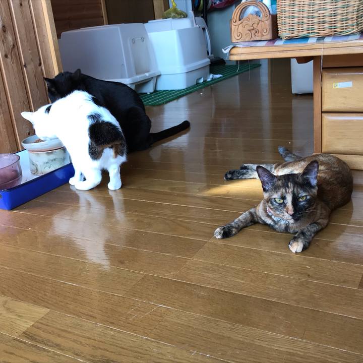 28e235c2 7c04 4dc7 a6c6 85f925cf0553 1619215860969