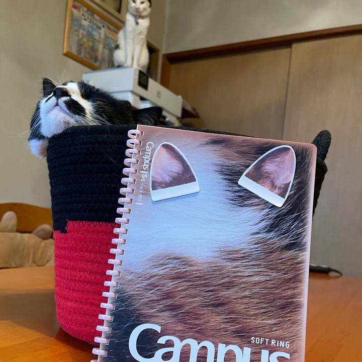 28e24769 ad3f 4514 ad80 ae8ba63259bf 1740961538850