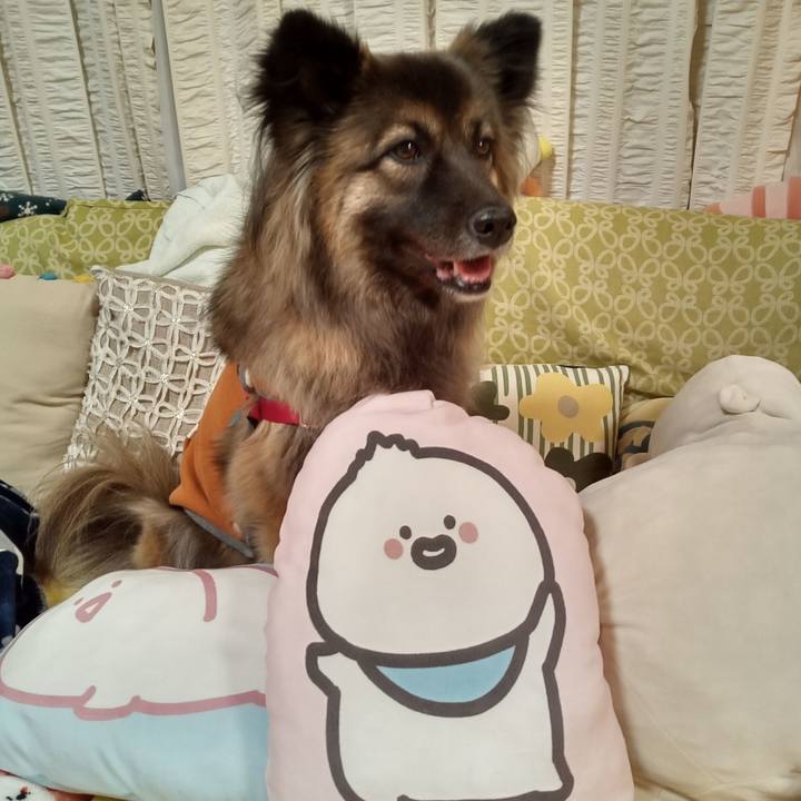 28e285bc a399 478c 93a9 2576d5bf8ae0 1764932476562