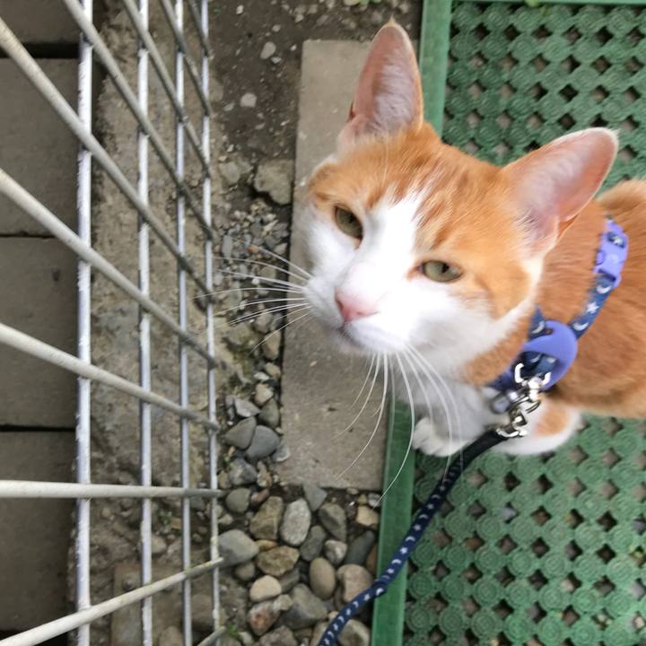 28e2872a 6d9b 4cd3 84b9 ae10e316b5cd 1524212948178