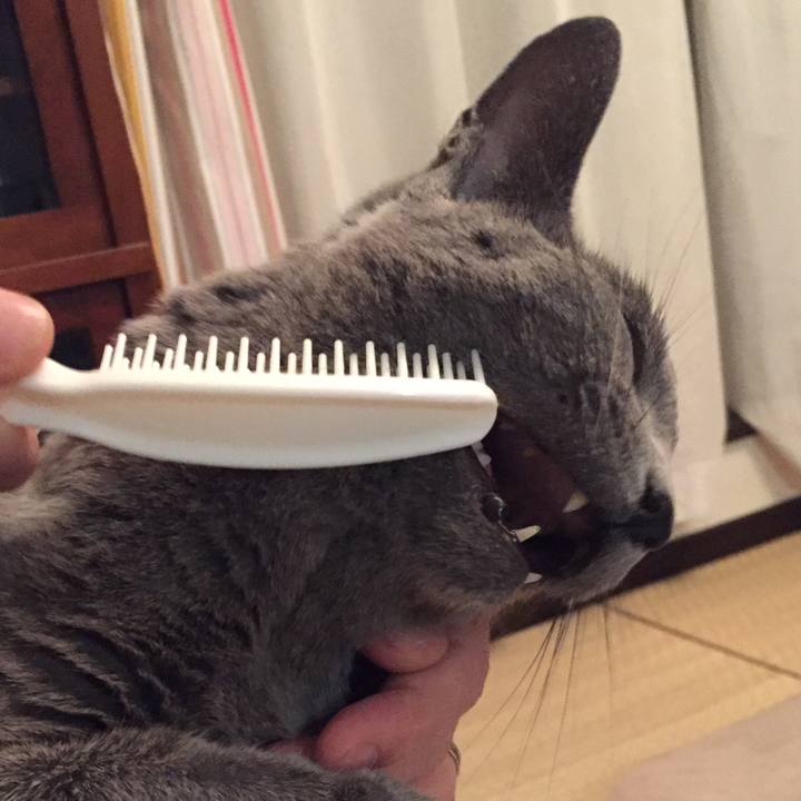 28e29018 eac9 4278 af70 3a57b1fdacb6 1574259089947