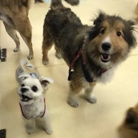 28e294d7 1f10 4179 a413 38379d8449f0 1513771487085