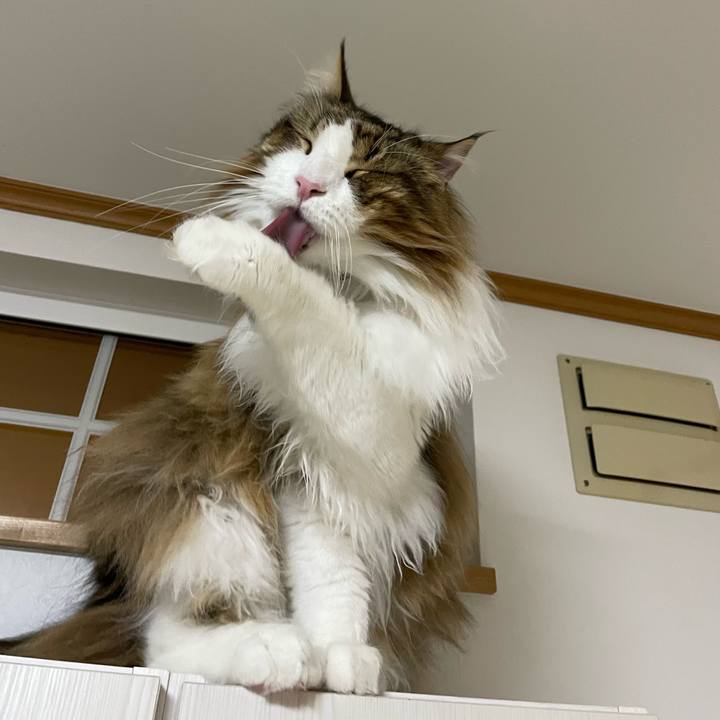 28e2c355 b865 40e5 8b0b e24b941248b3 1679860072651