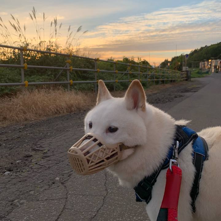 28e2d678 dfbf 4649 a7d2 ea5eda0c4605 1662151503082